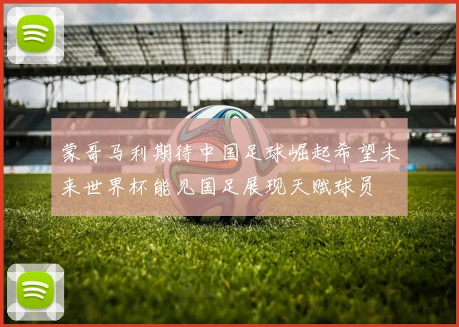 蒙哥马利期待中国足球崛起希望未来世界杯能见国足展现天赋球员