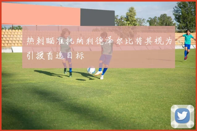 热刺瞄准托纳利德泽尔比将其视为引援首选目标