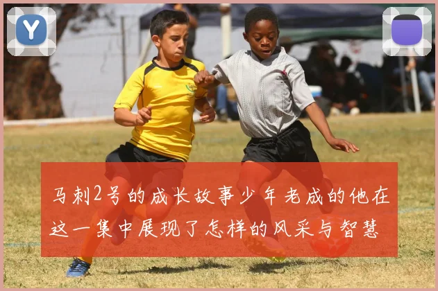 马刺2号的成长故事少年老成的他在这一集中展现了怎样的风采与智慧